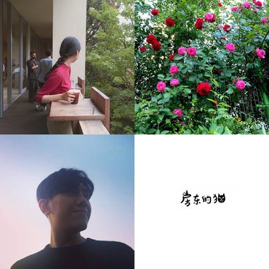 什么时候都能听
