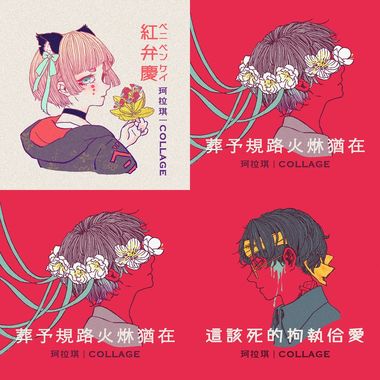 柯拉琪