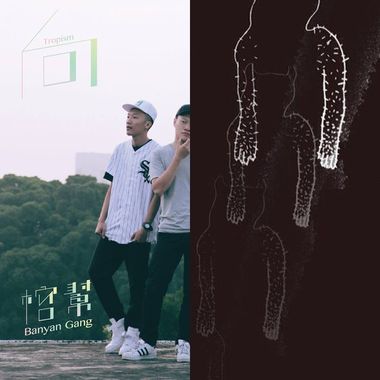 我的歌单 2