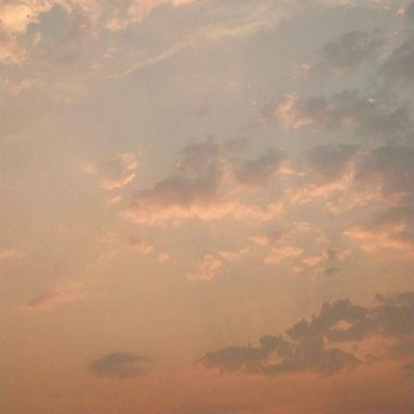 空壳