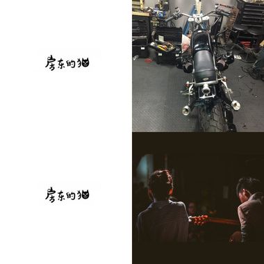 松的
