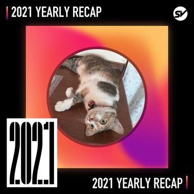 2021 个人年度精选之最