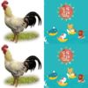 偷摸大鸡乐团