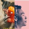 喜欢的歌曲