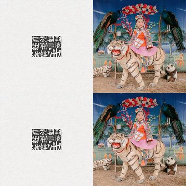 浪人喜欢的歌