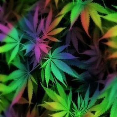weed