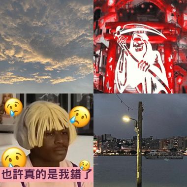 杨的歌单
