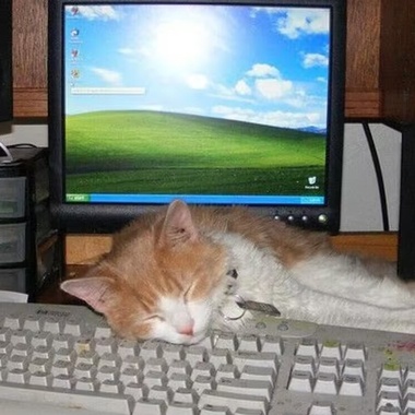。