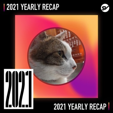 2021 个人年度精选之最
