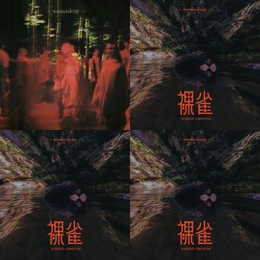 宝藏