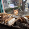 天蝎座歌单