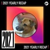 2021 个人年度精选之最