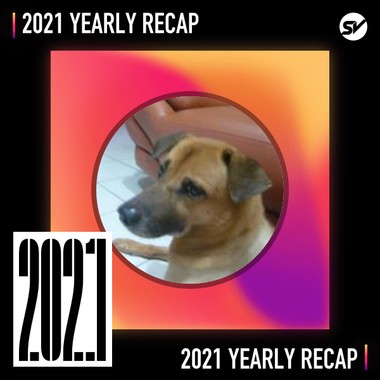 2021 个人年度精选之最