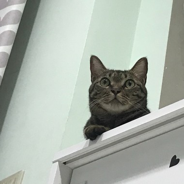 左边