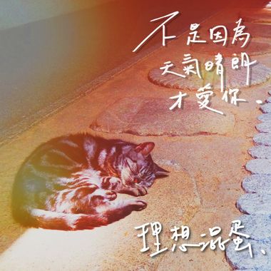 我的歌单  
