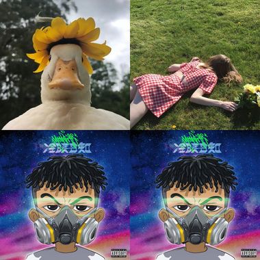 .ᐟ.ᐟ