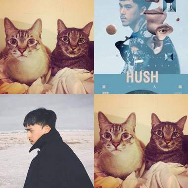 还好有Hush?