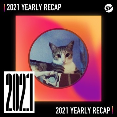 2021 个人年度精选之最