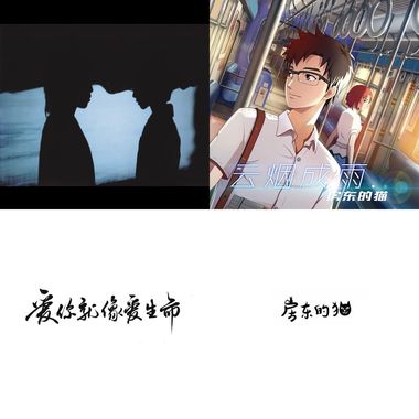 房东的猫20首选