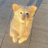 夏天