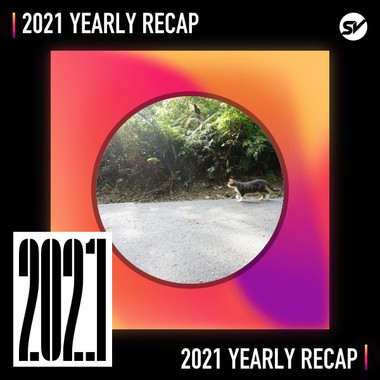 2021 个人年度精选之最