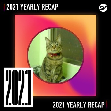 2021 个人年度精选之最