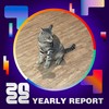 2022 个人年度精选