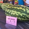 我的歌单