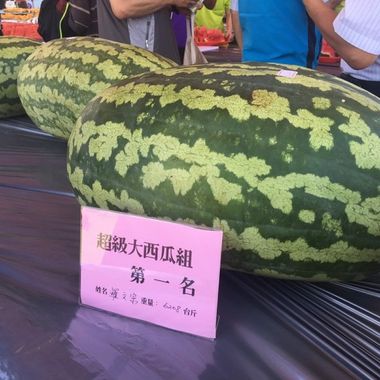 我的歌单
