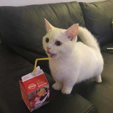 2424