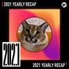 2021 个人年度精选之最
