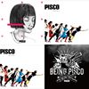 Pisco