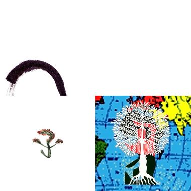 青春大卫