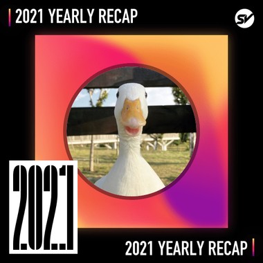 2021 个人年度精选之最