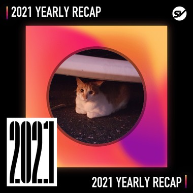 2021 个人年度精选之最