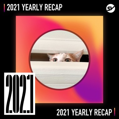 2021 个人年度精选之最