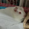 sleepy