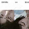 房东的猫