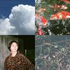石青罗林