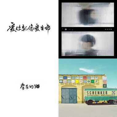 房东的猫