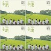 “禾浪”专辑