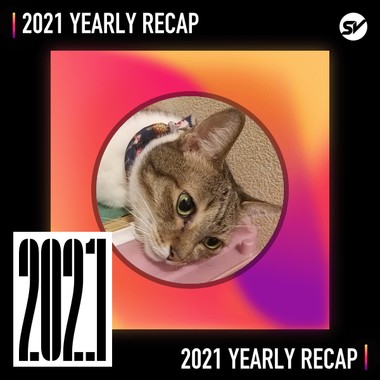 2021 个人年度精选之最