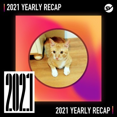2021 个人年度精选之最