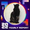 2022 个人年度精选