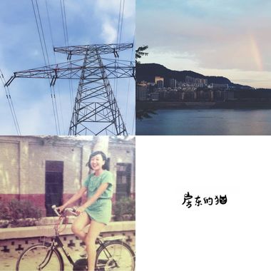 房东的猫