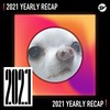 2021 个人年度精选之最