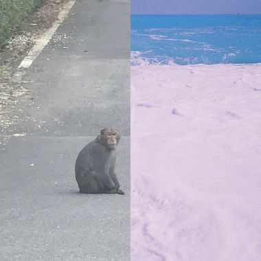 0706