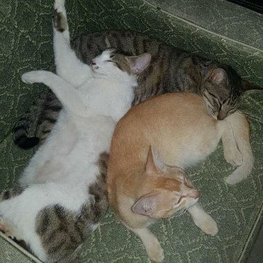 石
