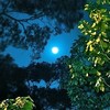 点