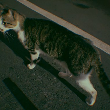 玄
